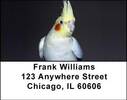 Cockatiels Address Labels