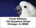 Cockatoos Address Labels