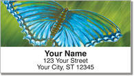 Colored Wings Address Labels
