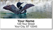 Common Loon Address Labels