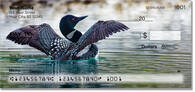 Common Loon Checks