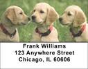 Cute Puppies Address Labels