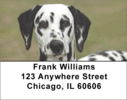Dalmatians Labels - Dalmatian Address Labels