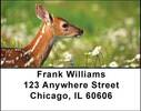 Deer Fawn Address Labels