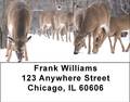 Deer in Winter Address Labels