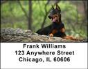 Dobermans Address Labels