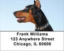 Dobermans Smile Address Labels