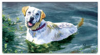 Dog Artwork Checkbook Cover