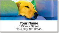 Dog & Cat Address Labels