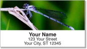 Dragonfly Address Labels