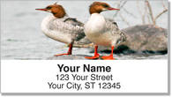 Duck Address Labels