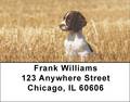 English Spaniels Address Labels