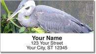 Exotic Bird Address Labels