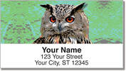 Eyes of an Owl Address Labels