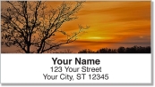 Filtered Ray Address Labels