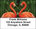 Flamingos Address Labels