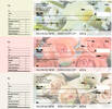 Florist Designer Deskset Checks