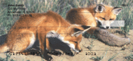 Fox Checks - Red Fox Personal Checks