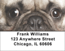 French Bulldog Address Labels - French Bulldogs Labels