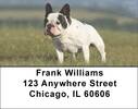 French Bulldog Address Labels