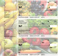 Fresh Produce Designer Deskset Checks