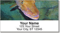 Freshwater Game Fish Address Labels