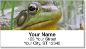 Frog Address Labels