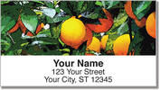 Fruit Tree Address Labels