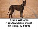 Gigantic Great Danes Address Labels