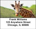 Giraffes Address Labels