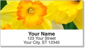 Golden Daffodil Address Labels