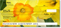Golden Daffodil Checks