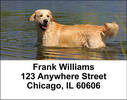 Golden Retriever Address Labels