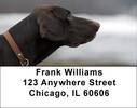 Grand German Shorthair Pointer Address Labels