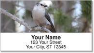 Gray Jay Bird Address Labels