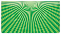 Green Starburst Checkbook Cover