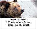 Grizzly Bears Address Labels