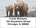 Grizzly Bears in the Wild Address Labels