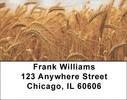 Harvest Time Address Labels