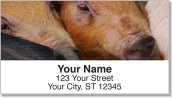 Hog Heaven Address Labels
