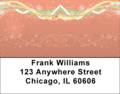 Holiday Sparkle Address Labels