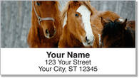 Horse Address Labels