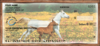 Horse Play Recreation Personal Checks - 1 Box - Duplicates