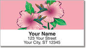 Hummingbird Address Labels