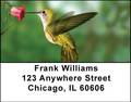 Hummingbirds Address Labels