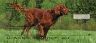 Irish Setter Personal Checks