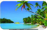Island Paradise Debit Mini Clutch