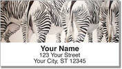 Kay Smith Zebra Address Labels