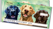 Labrador Retriever Side Tear Checks
