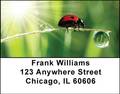 Ladybugs Address Labels